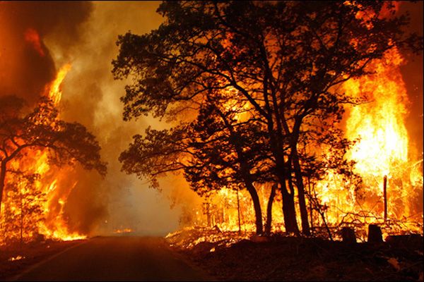 ILICA-Instituto-Longoria-de-Investigacion-Cientifica-Aplicada-Desastres-Naturales-Incendios-Forestales_v002