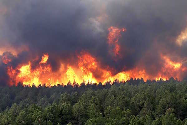 ILICA-Instituto-Longoria-de-Investigacion-Cientifica-Aplicada-Desastres-Naturales-Incendios-Forestales_v003